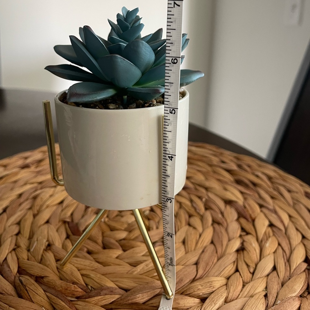 Mini Elegant White Planter with Blue Succulent